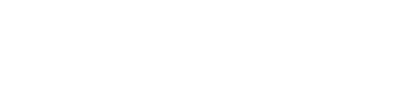 DLT-19D