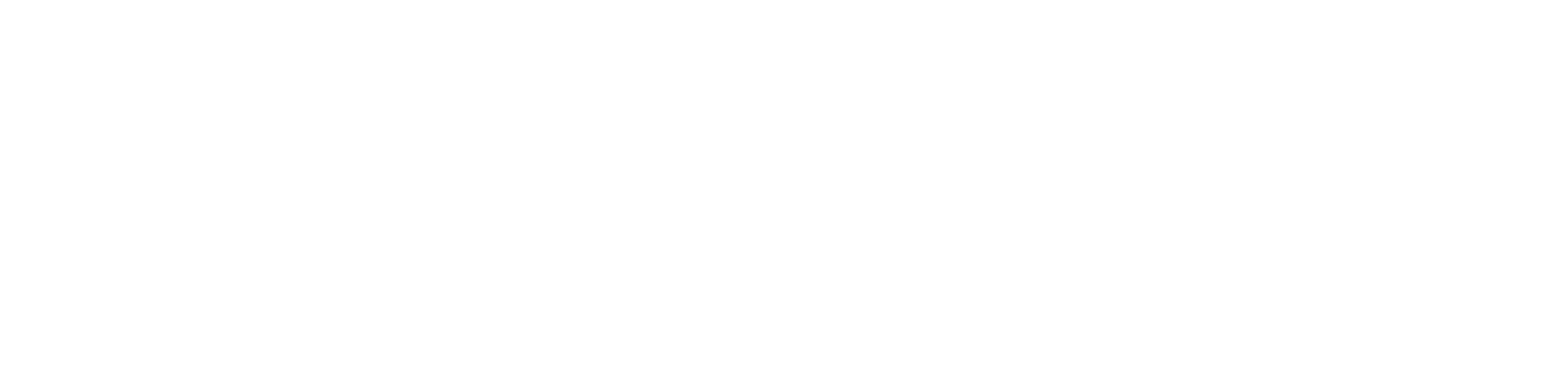 DLT-20A